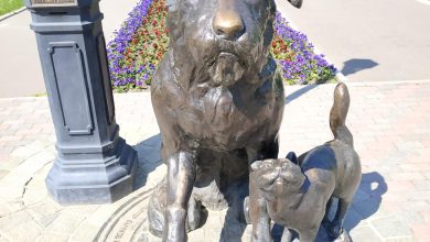 Photo of Знаменитые памятники истории Иваново