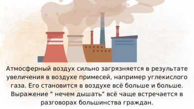 Photo of Экологическая безопасность и улучшение качества воздуха